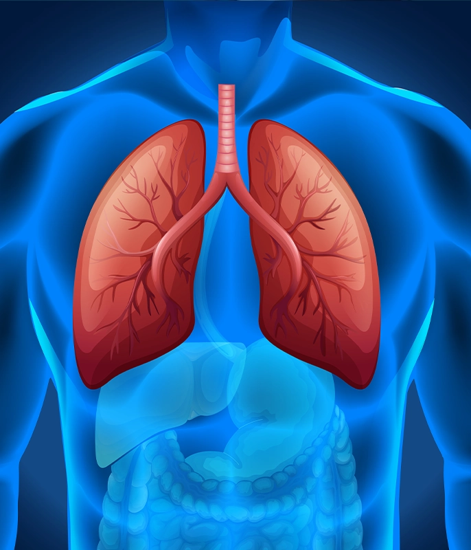 kidney_menu_img